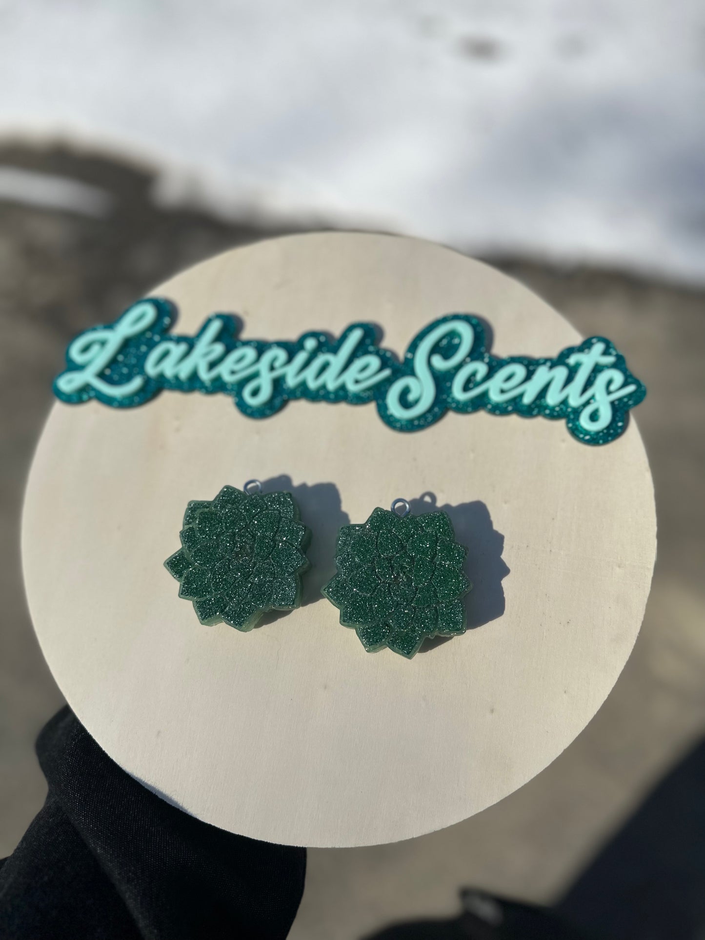 Succulent Vent Clips