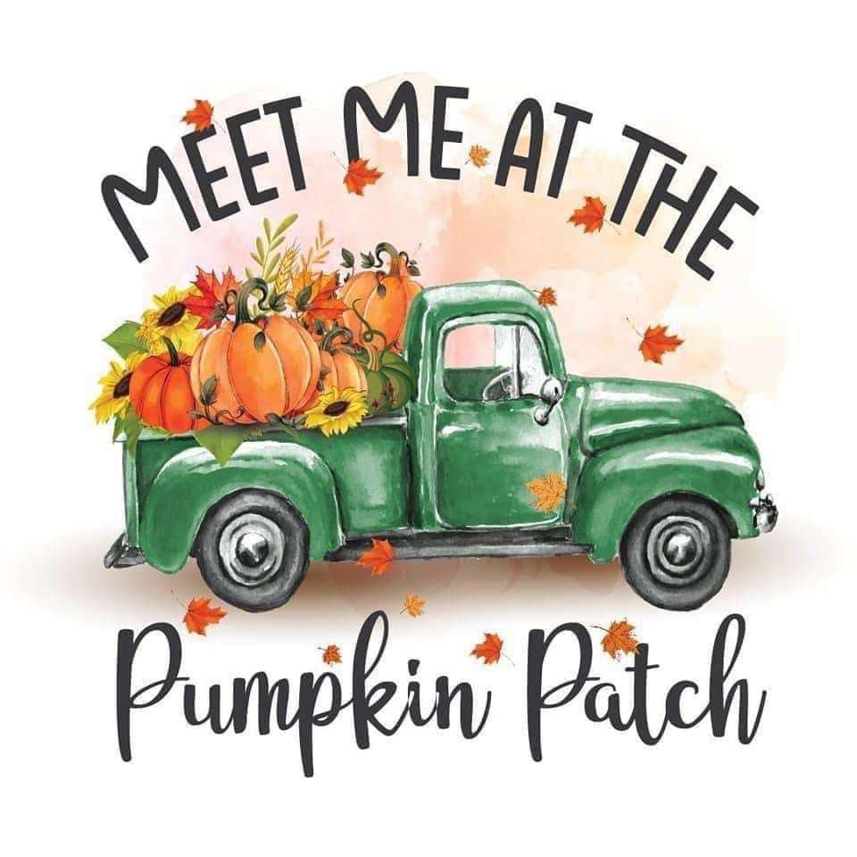 Meet Me At The Pumpkin Patch