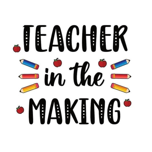 Teacher In The Making