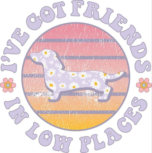 Friends In Low Places