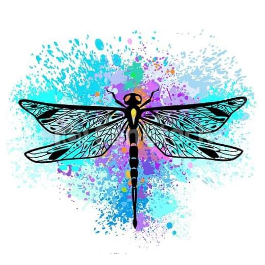 Dragonfly #1