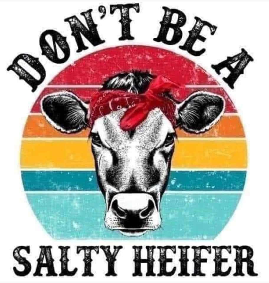 Don’t Be A Salty Heifer